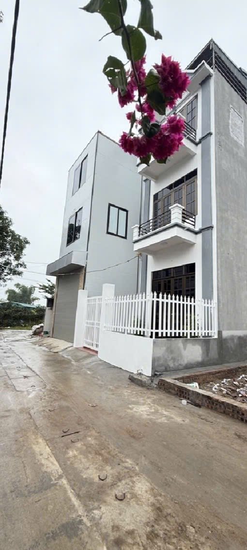 Nhà 4 tầng Tổ 9 Quang Minh, Mê Linh 60m² giá chỉ 4 tỷ - Cơ hội hiếm có!