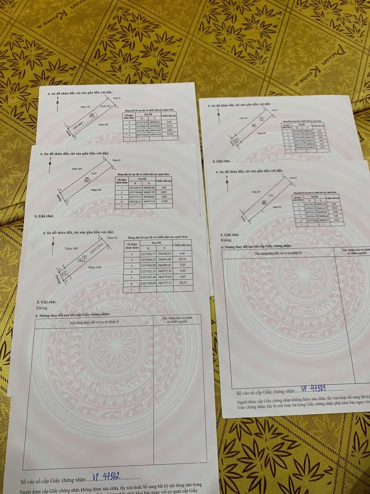 Đất nền Phú Long Nho Quan 3000m² giá chỉ 1.1 tỷ - Cơ hội đầu tư tuyệt vời!