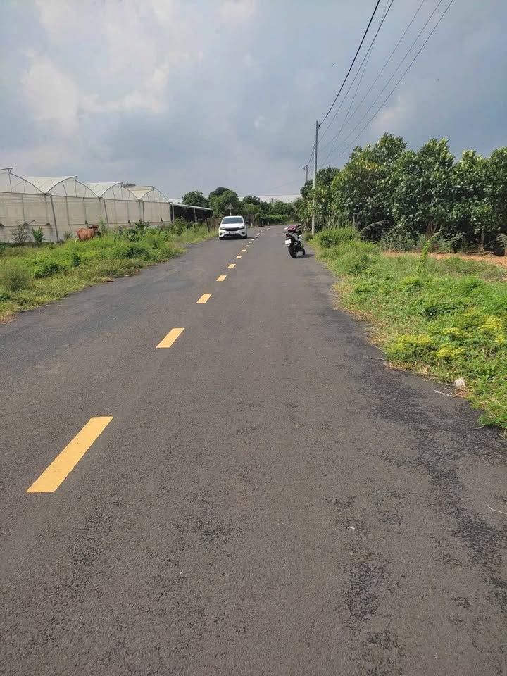 Đất nền Phước Long Thọ, Đất Đỏ, Bà Rịa - Vũng Tàu 500m² giá 1.72 tỷ - Tiềm năng đầu tư vượt trội!