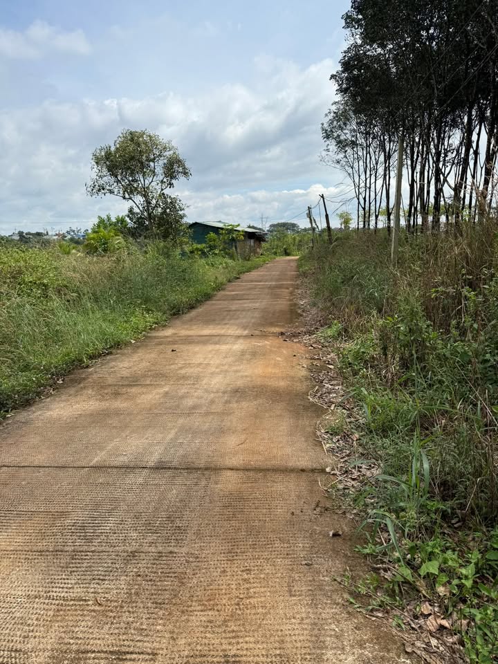 Đất nền 1056m² tại Đắk Wer, Đắk R'Lấp - Giá 475 triệu, bớt lộc!