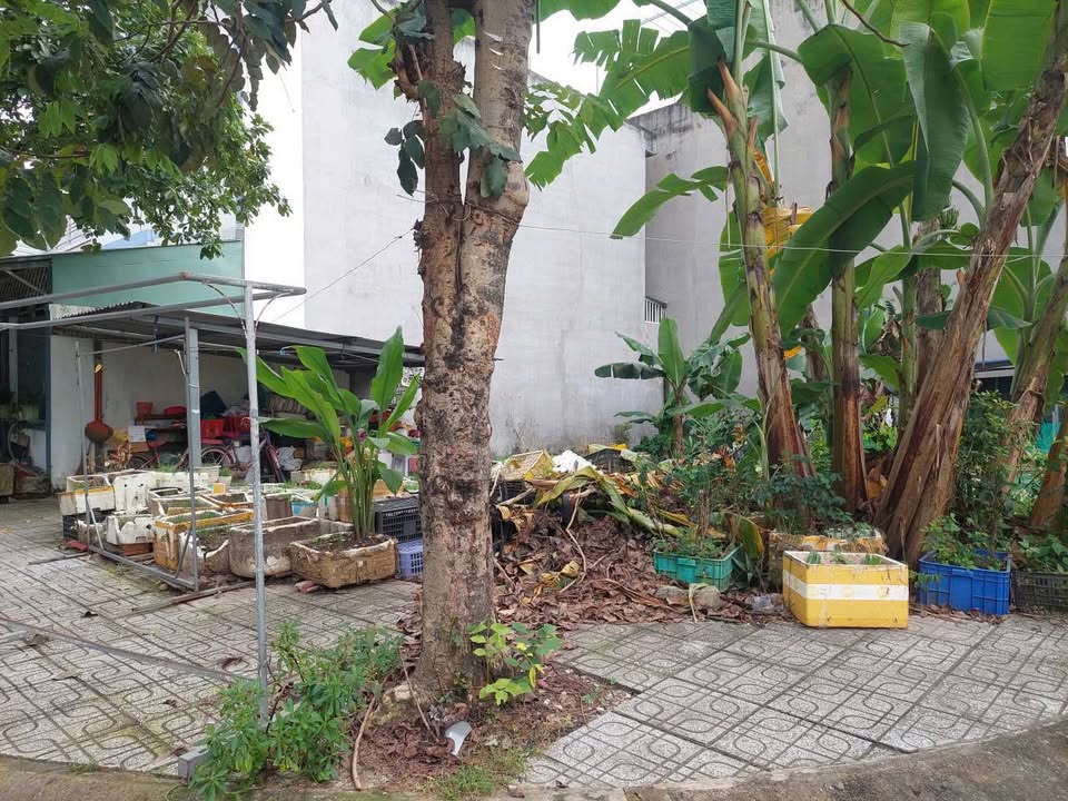 Đất nền góc Long Trường 94m² giá 4 tỷ - Cơ hội đầu tư hấp dẫn!