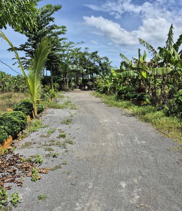 Đất nền 2,2 sào tại Gia Kiệm, Thống Nhất, Đồng Nai - Giá chỉ 1,5 tỷ!