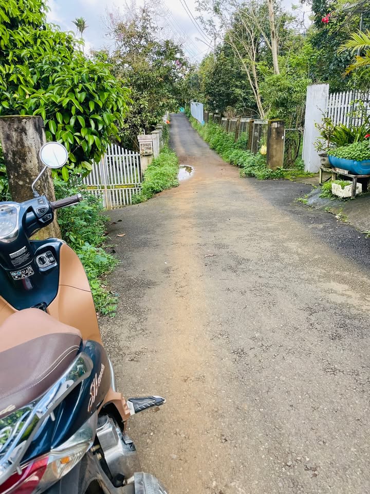 Đất thổ cư tại Bảo Lộc 100m² giá 1.38 tỷ - Cơ hội vàng cho đầu tư!