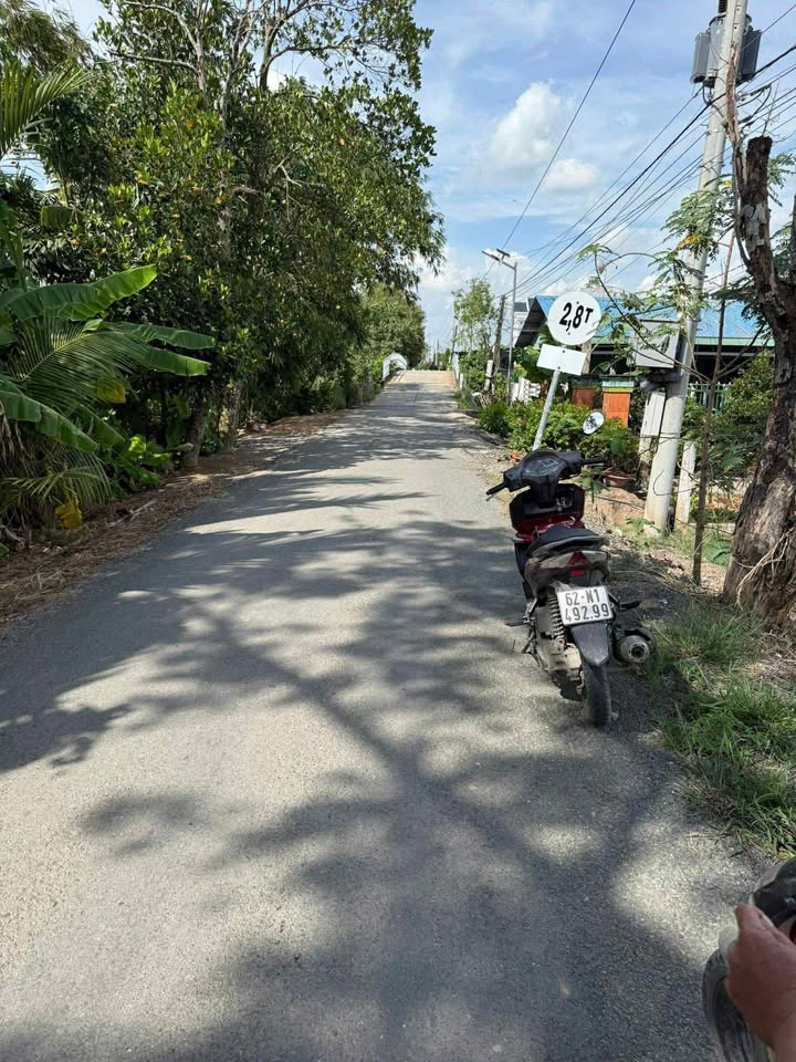 Đất mặt tiền đường lớn 584m² tại Lương Hòa, Bến Lức - Giá chỉ 350 triệu!