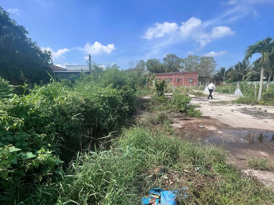 Đất nền Hậu Nghĩa Đức Hòa 278.4m² giá 2.8 tỷ - Sổ đỏ chính chủ, đầu tư sinh lời!