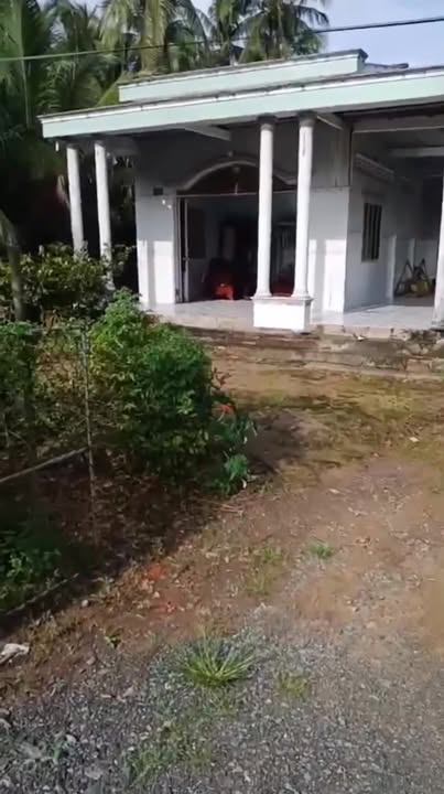 Bán Nhà & Vườn Dừa 3855m² tại Xã An Trường A, Càng Long - Giá 6 tỷ