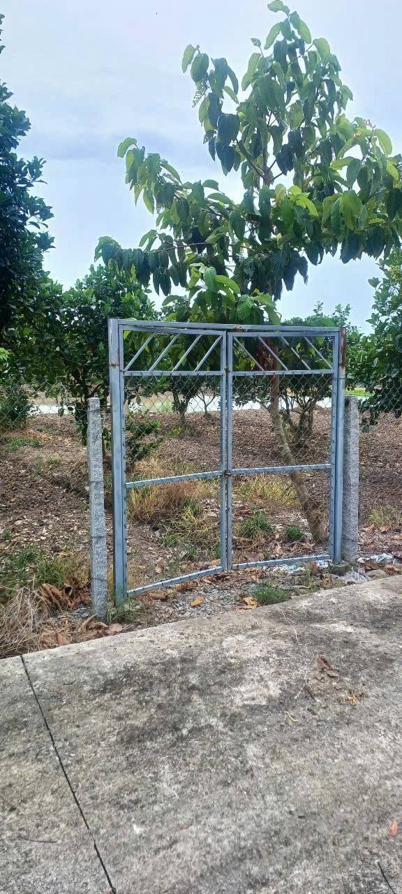 Đất vườn 2436m² tại khu phố 6, phường Vĩnh Thông - Giá chỉ 550 triệu!