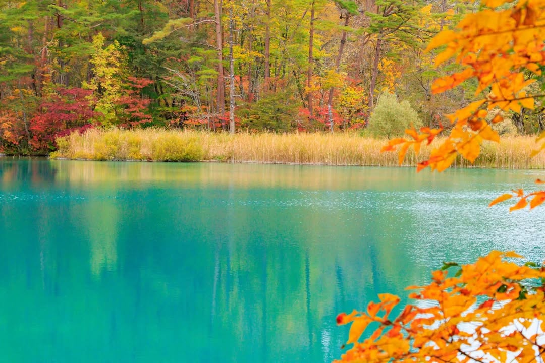 Cho thuê FrontHouse Đà Nẵng 100m² giá 45 triệu - Mặt biển gần bãi Tân Trà!