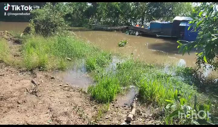 Đất nông nghiệp Tân Hiệp, Thạnh Hóa 28,000m² giá 255.6 triệu - Đầu tư sinh lời ngay!