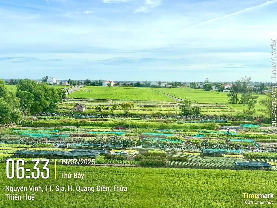 Đất nền Hòa Xuân Đà Nẵng 120m² giá 5.6 tỷ - Cơ hội đầu tư hấp dẫn!