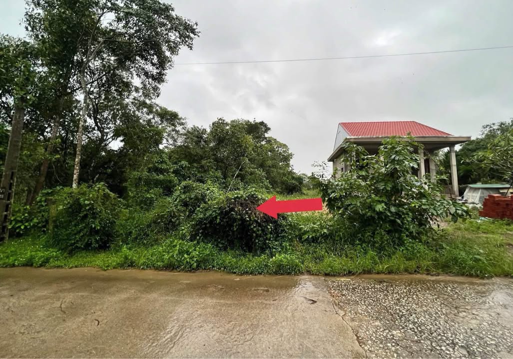 Đất Mặt Tiền Vũ Ngọc Phan, Thủy Xuân 100m² giá 2.1 tỷ - Đầu tư sinh lời!