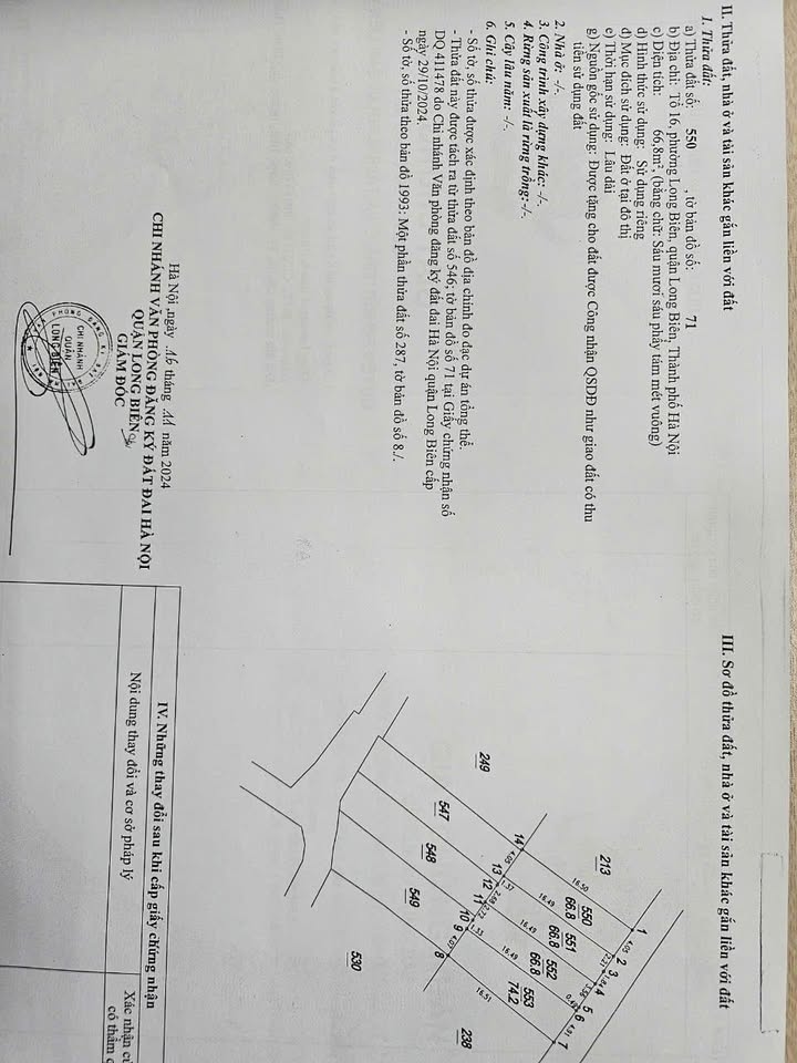 Đất nền Đàm Quang Trung 66.8m² giá chỉ 10.688 tỷ - Cơ hội đầu tư tuyệt vời!