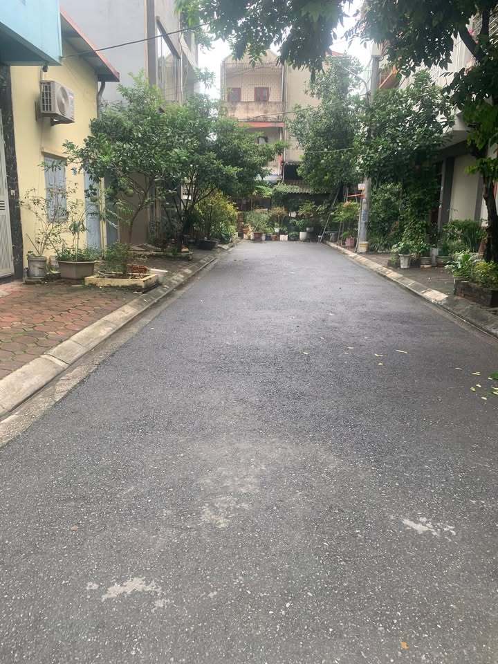 Đất nền khu đấu giá tổ 13 Phường Đức Giang 99m² giá 18.3 tỷ - Nhiều tiện ích xung quanh!