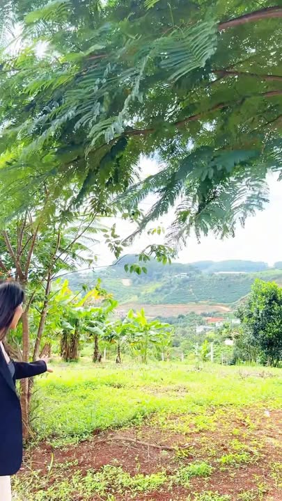 Đất nền Mê Linh Đà Lạt 243m² giá 1.45 tỷ - View săn mây tuyệt đẹp!