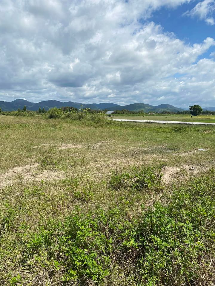 Đất nền 5 sào 4 xã Ia Tul, Gia Lai chỉ 370 triệu - Cơ hội đầu tư hấp dẫn!