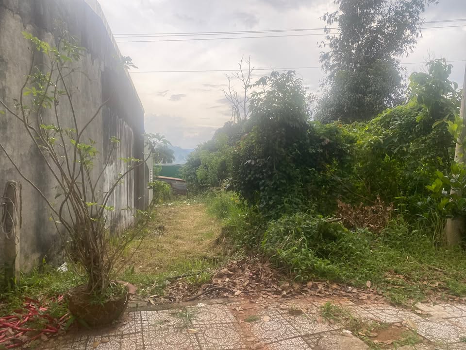 Đất mặt tiền đường Hùng Vương, Phường Đông Gia Nghĩa, 240m² giá 2.4 tỷ - Thương lượng trực tiếp với chính chủ!