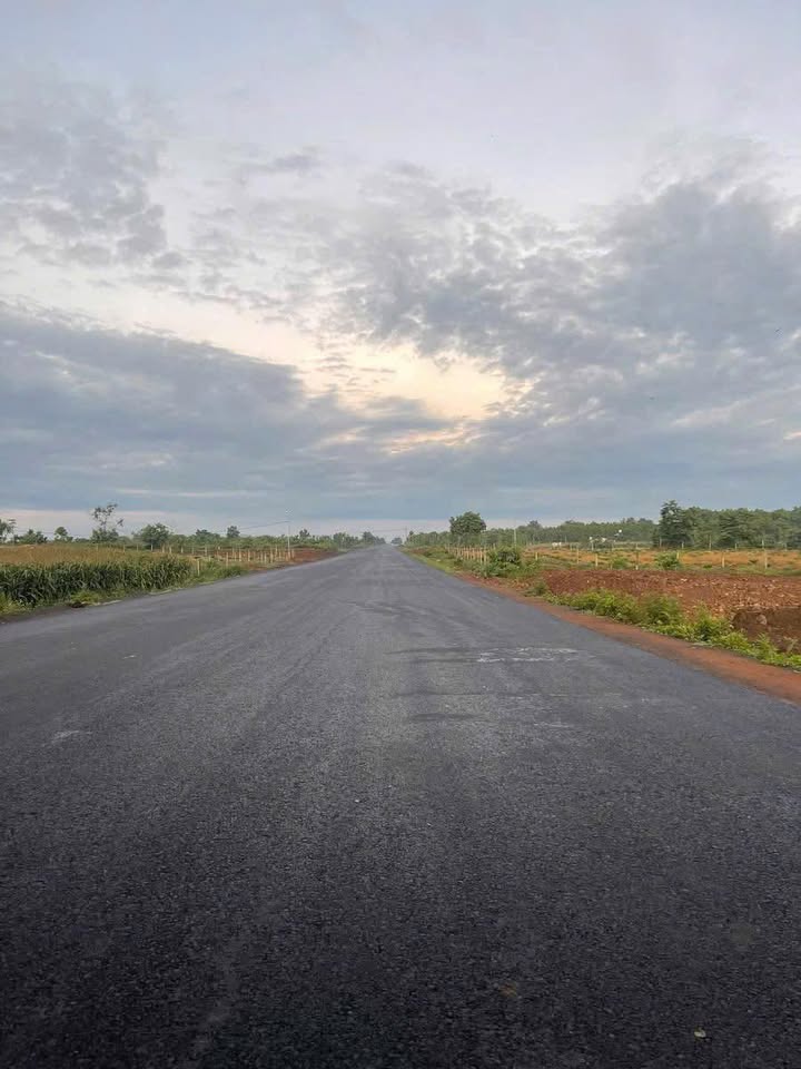 Đất thổ cư mặt tiền đường Tránh Đông, xã Ea Tiêu, Cư Kuin 800m² - Kinh doanh thuận lợi!