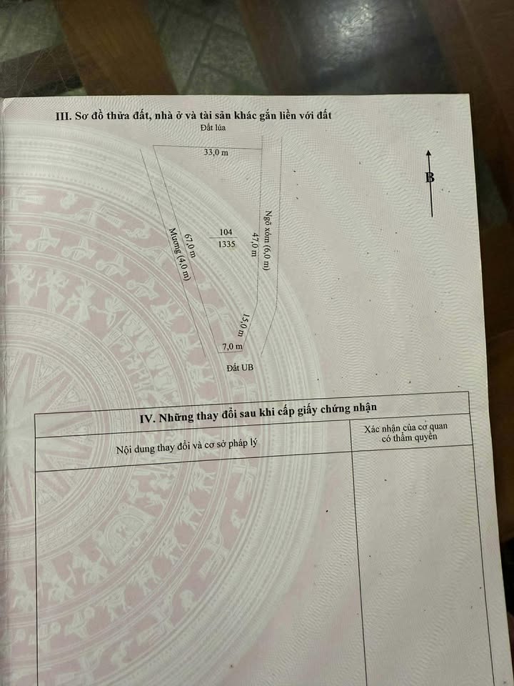 Đất nền Hoàng Sơn, Nông Cống 1335m² - Đường xe công vào, giá thương lượng!
