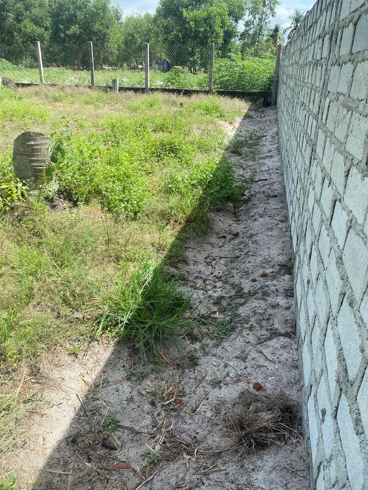 Đất thổ cư 126m² tại phường Tam Quan, Hoài Nhơn - Giá thỏa thuận hấp dẫn!