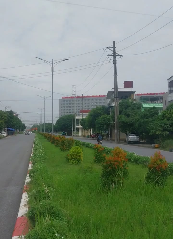 Đất nền Nam Thành Ninh Bình 90m² - Cách viện sản nhi chỉ 1 phút đi bộ!