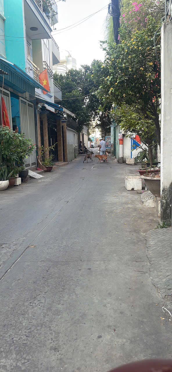 Nhà hẻm nhựa 5m Phú Nhuận 100m² giá 4 tỷ - Dọn vào ở ngay!