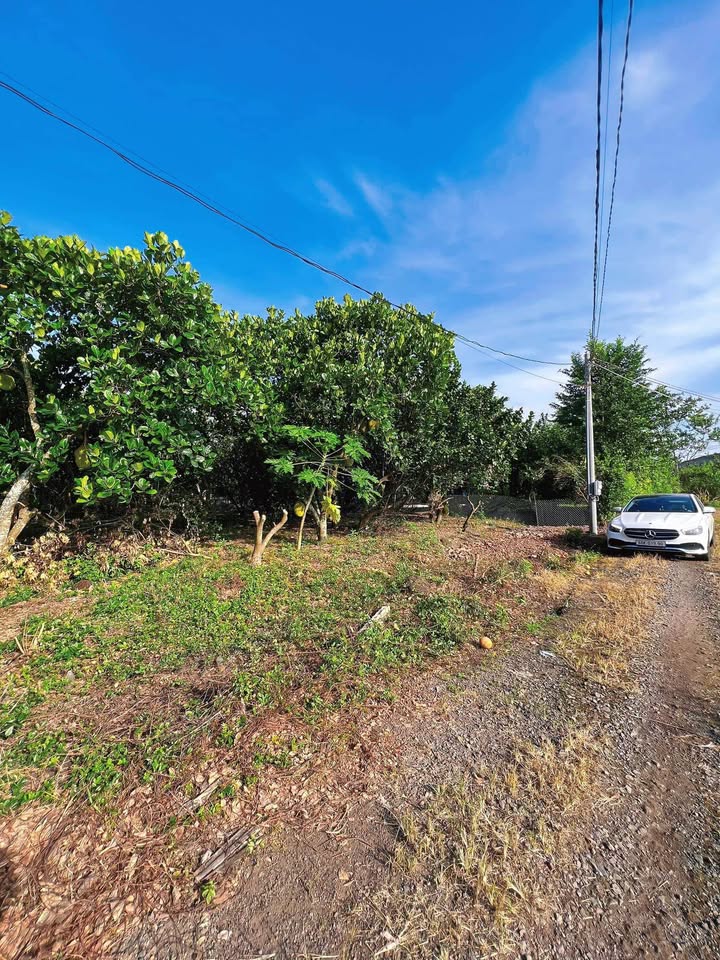 Đất nền Bảo Vinh Long Khánh 500m² chỉ 990 triệu - Cơ hội đầu tư tuyệt vời!