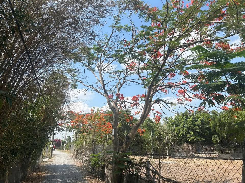 Đất nền Bà Điểm 2.200m² giá 28.6 tỷ - Phong thủy tốt, đầu tư sinh lời!