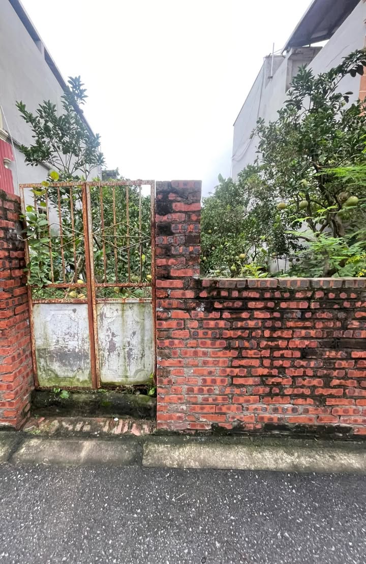 Đất Thượng Cát 63m² giá 5 tỷ - Xây nhà thang máy, view vườn bưởi