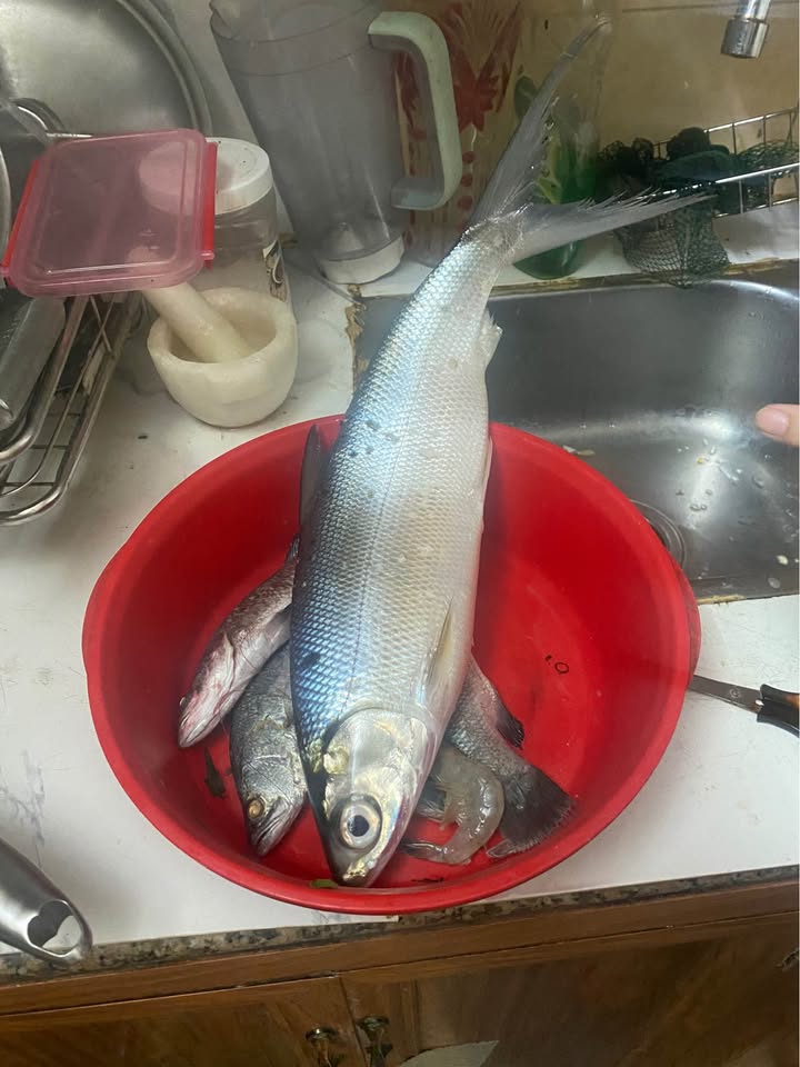 Cho thuê nhà mặt tiền Trần Hưng Đạo Quy Nhơn 900m² giá 120 triệu - Đầu tư sinh lời ngay!