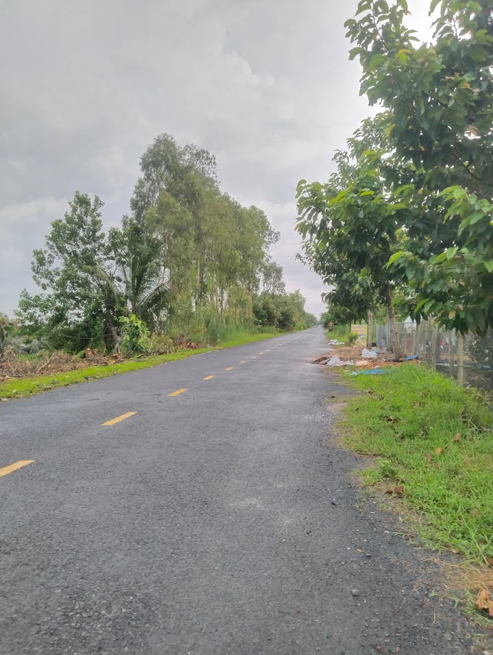 Đất mặt tiền đường 910, Bình Minh, 7800m² giá 590 triệu - Cơ hội đầu tư hấp dẫn!