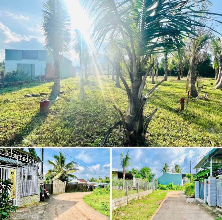 Đất nền hẻm 45 Lê Văn Hưu, Phường Thống Nhất, Gia Lai - Chỉ 6 triệu - Cơ hội đầu tư tuyệt vời!