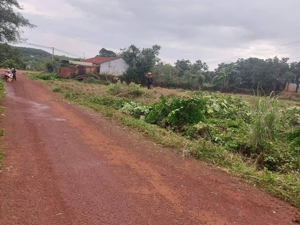 Đất thổ cư tại ngã 3 Làng Lân, Ia O 1295m² - Cơ hội đầu tư không thể bỏ qua!