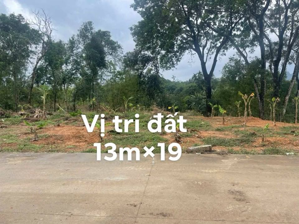 Đất nền Gia Lâm Ninh Bình 239m² giá tốt - Vị trí thuận lợi cho đầu tư!