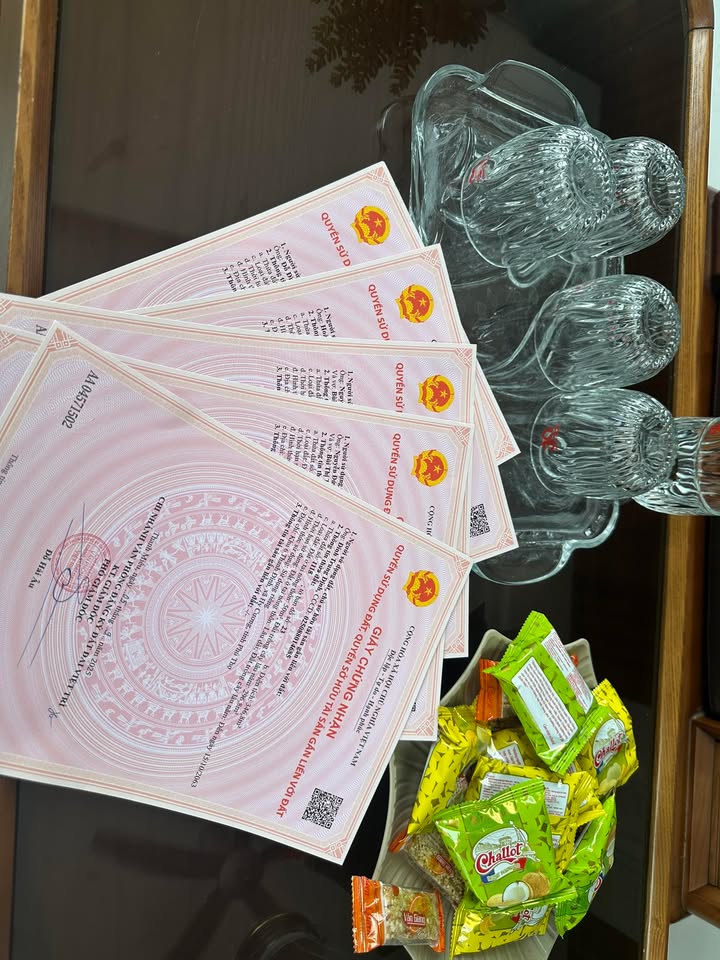 Đất thổ cư 100% khu 4 Thanh Đình 244m² giá 700 triệu - Cơ hội đầu tư tuyệt vời!