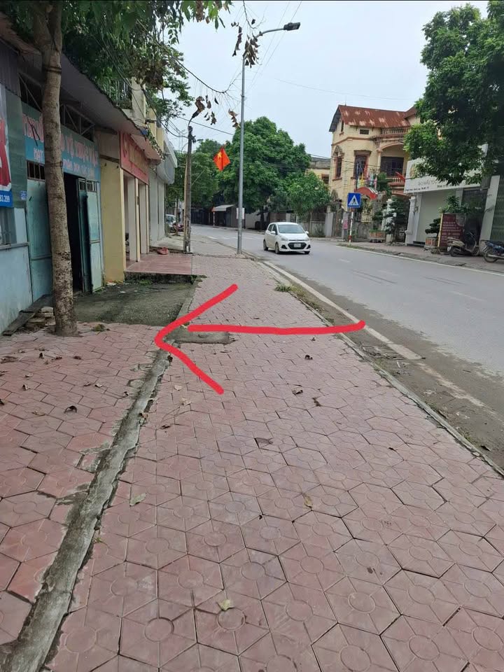 Đất nền Thôn Ngân Hạnh, Hoàn Long, 100m² - Cơ hội đầu tư hiếm có!