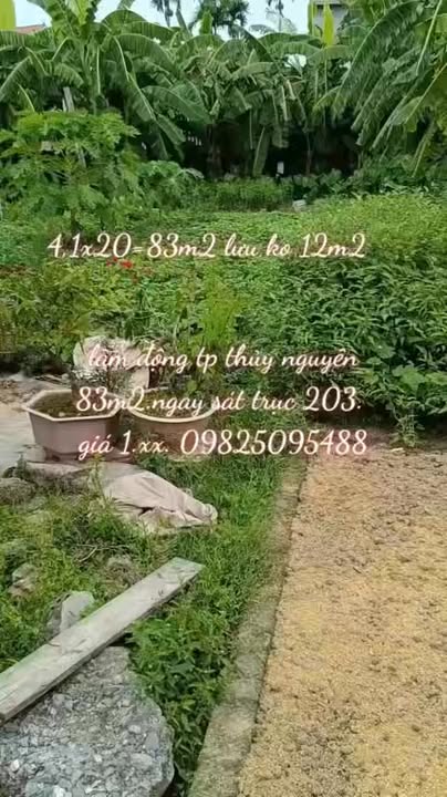 Đất nền Lâm Động Thủy Nguyên 83m² giá chỉ 1.xxx - Cơ hội đầu tư tuyệt vời!