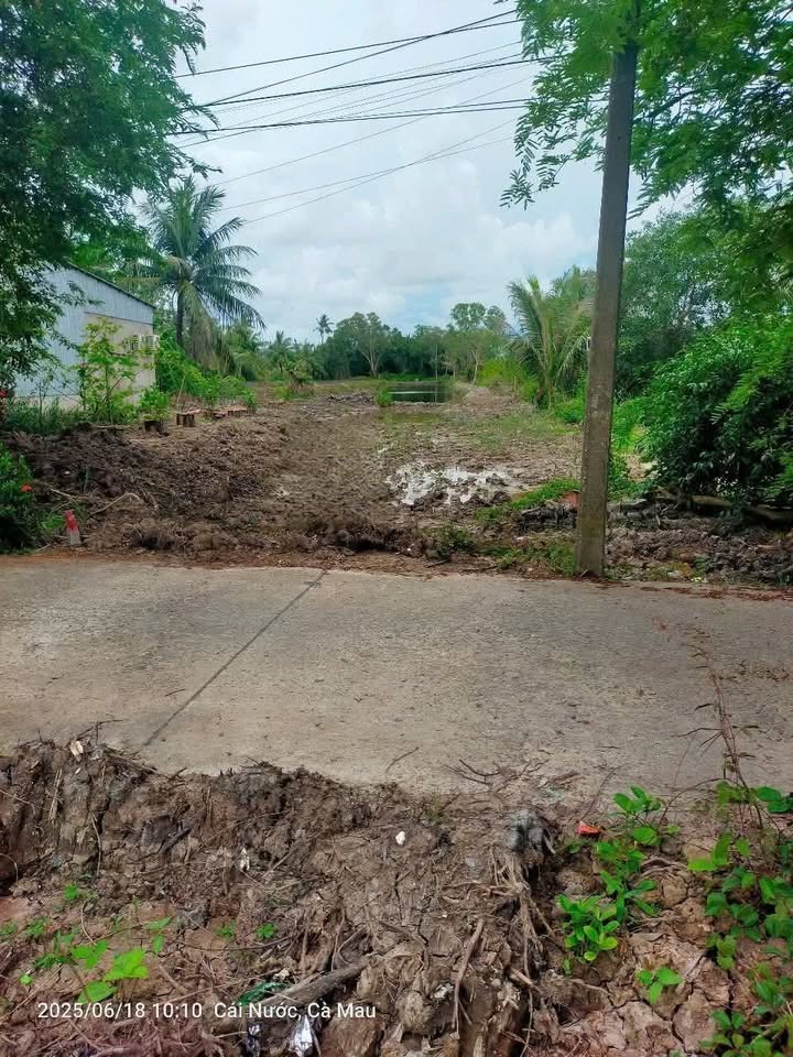 Đất nền 500m² tại ấp Rau Dừa B, xã Hưng Mỹ, huyện Cái Nước - Giá chỉ 550 triệu!
