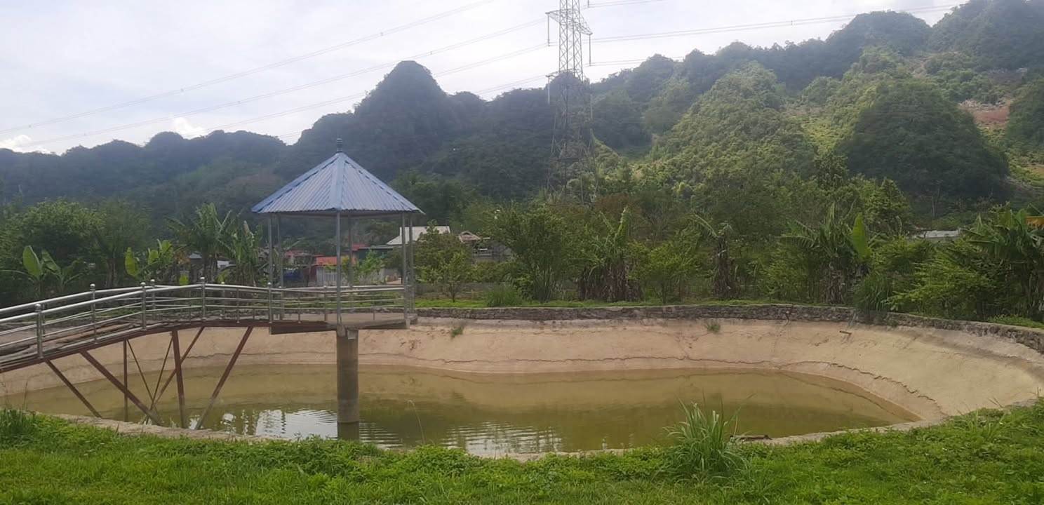 Đất Farm 3200m² tại Mộc Châu chỉ 1 tỷ - Cơ hội đầu tư hấp dẫn!