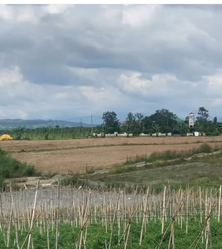 Đất nền Ninh Gia 1170m² giá chỉ 1.07 tỷ - Cơ hội đầu tư tuyệt vời!