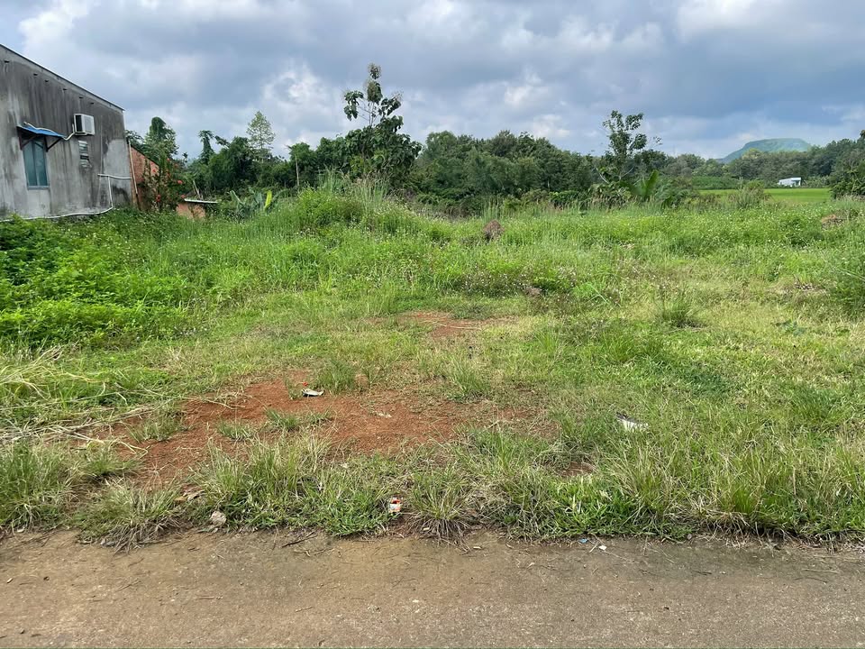 Đất 1,6 sào tại Gia Canh, Định Quán - Giá chỉ 1.15 tỷ, sổ hồng riêng!