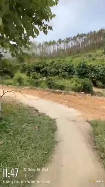 Đất thổ cư Đồng Tiến Yên Thế 7400m² giá 900 triệu - Đường ô tô vào tận nơi!