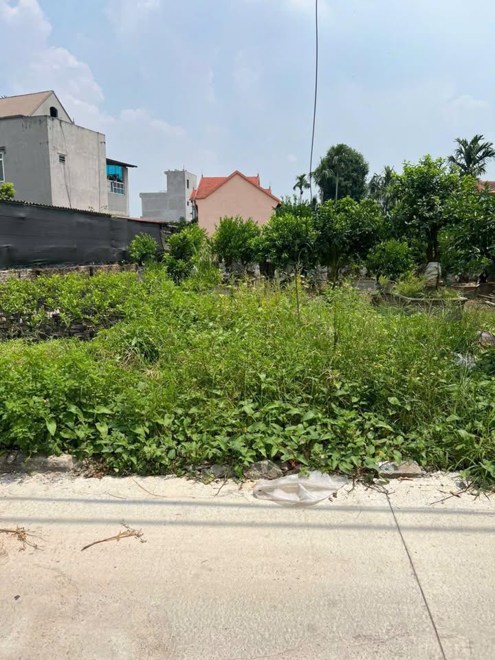 Đất chính chủ 102m² tại xã Liên Nghĩa, Văn Giang - Giá chỉ 4.3 tỷ!