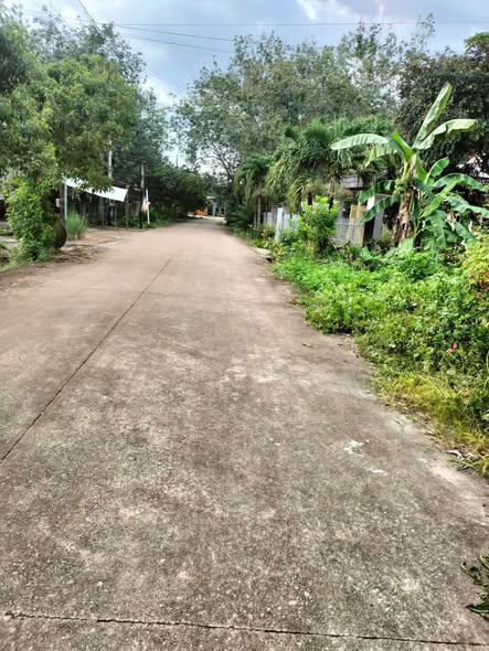 Nhà riêng tại An Bình, Phú Giáo 292.5m² giá 1.2 tỷ - Đường thông dân cư đông đúc!