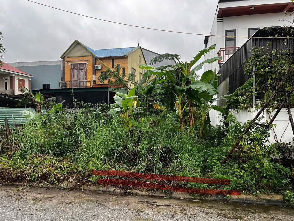 Lô đất đấu giá khối 6 Quán Bàu, Vinh Hưng 142,5m² giá 40 tỷ - Cơ hội đầu tư tuyệt vời!