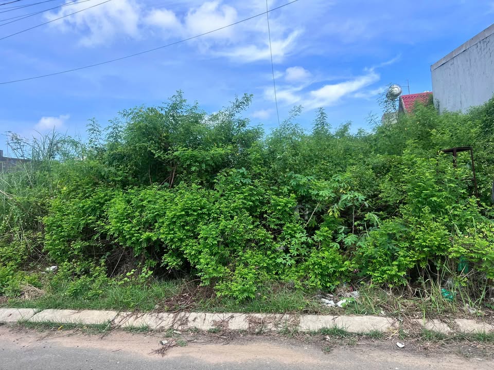 Đất nền tái định cư KCN Thành Thành Công Trảng Bàng 90m² giá 1.17 tỷ - Sổ đỏ chính chủ!