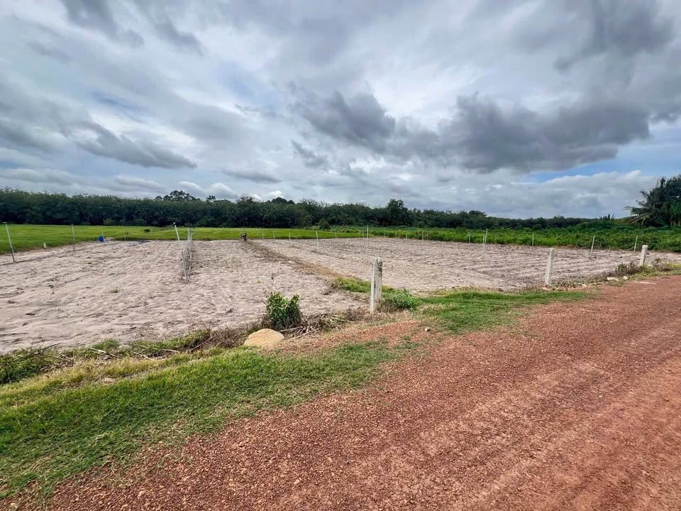 Bán đất Tân Đông, Tân Châu, Tây Ninh 7500m² - Giá chỉ 1.75 tỷ, đầu tư dài hạn!