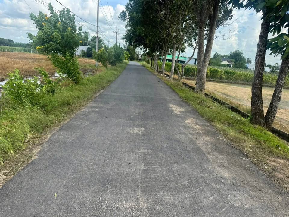 Đất vườn Củ Chi 1272m² giá 900 triệu - Cơ hội đầu tư tuyệt vời!