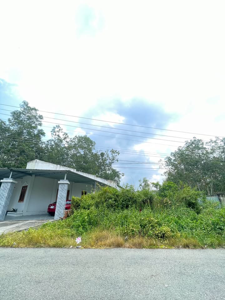 Đất nền thổ cư 96m² mặt tiền đường Văn Công Khai - Giá tốt, cơ hội đầu tư sinh lời!