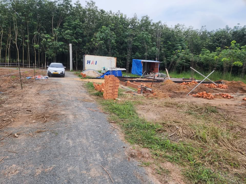 Đất nền Chánh Phú Hòa 500m² giá chỉ 1 tỷ - Đầu tư sinh lời ngay!