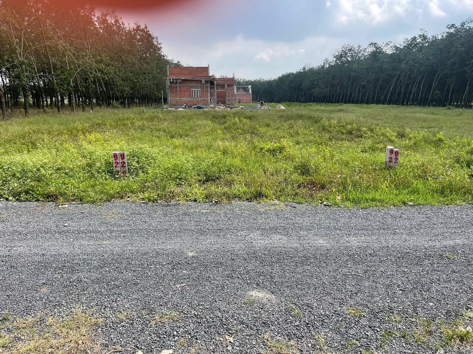 Đất nền Dương Minh Châu Tây Ninh 150m² giá chỉ 200 triệu - Cơ hội đầu tư hấp dẫn!